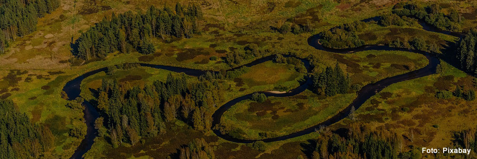 Schleifen eines mäandernden Flusses inmitten grüner Landschaft